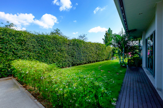 Property image - gallery 19