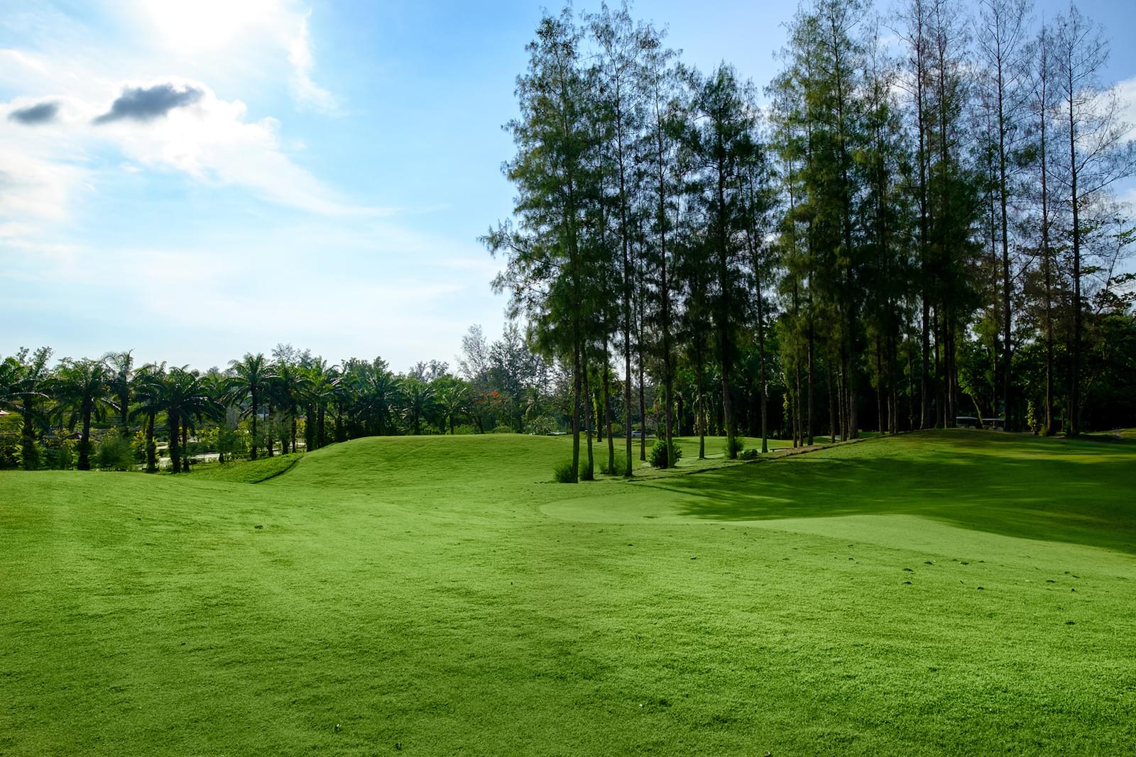 Property image - gallery 41