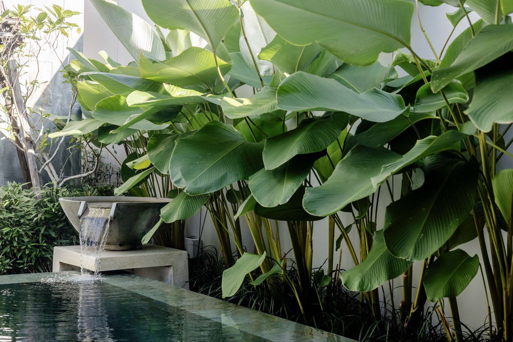 Property image - gallery 56