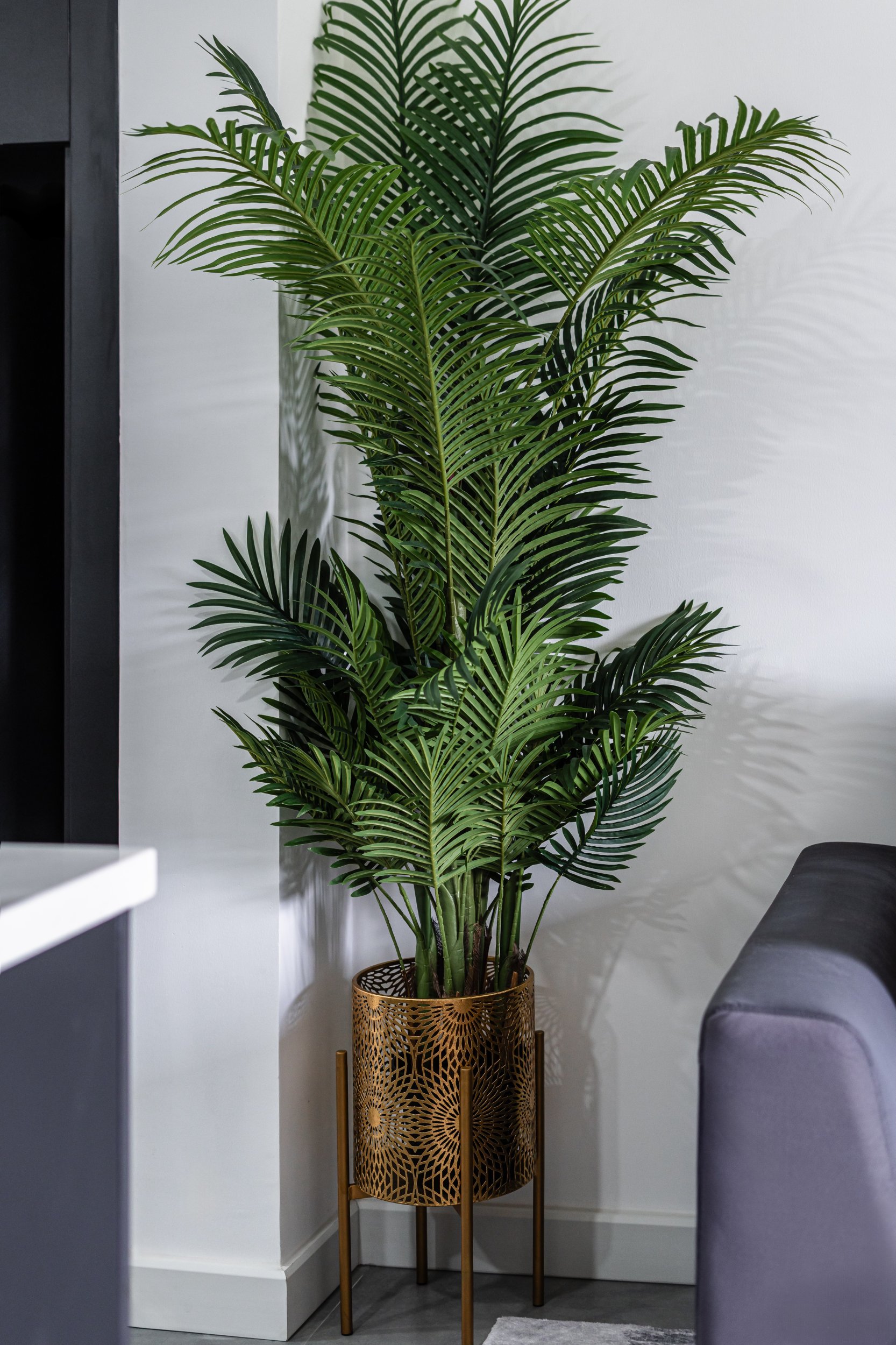 Property image - gallery 14