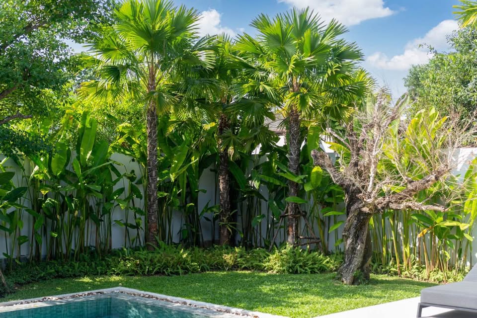 Property image - gallery 39