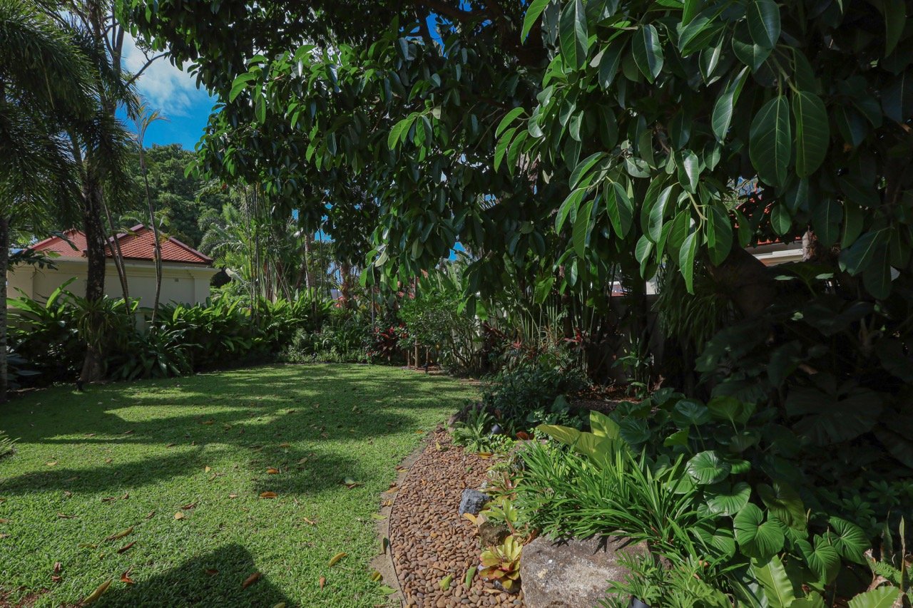 Property image - full photo 61
