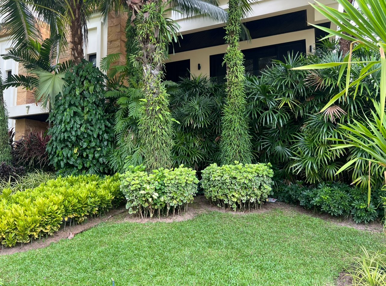 Property image - full photo 22