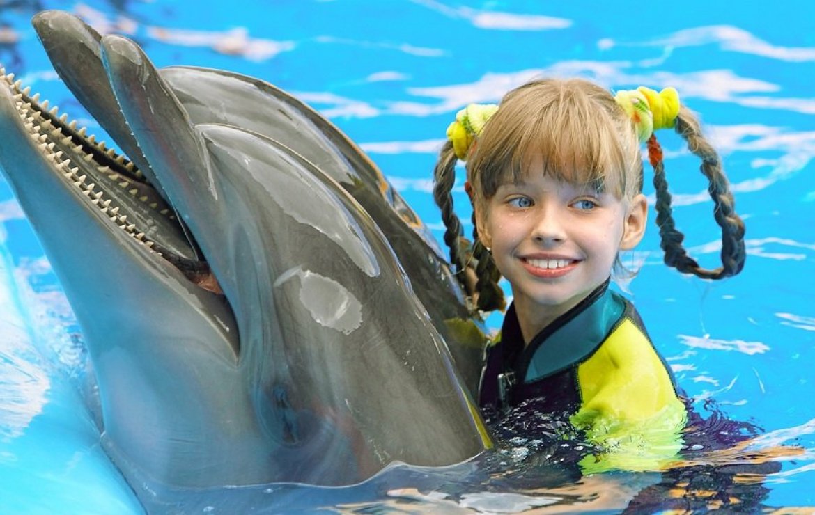 Swimming with Dolphins