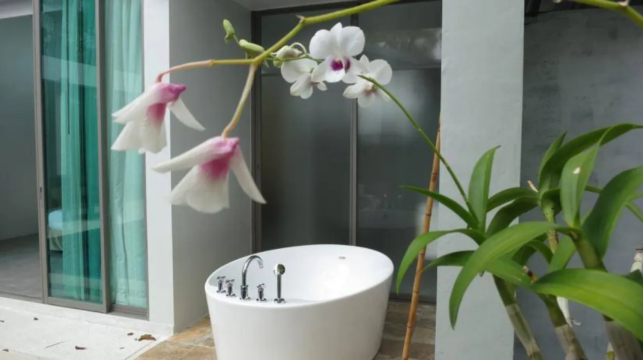 Property image - photo 4