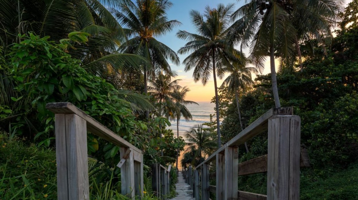 Property image - photo 4