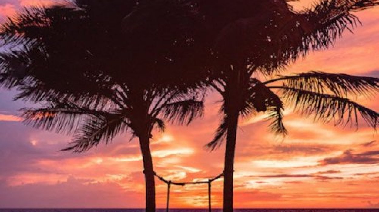 Property image - gallery 8