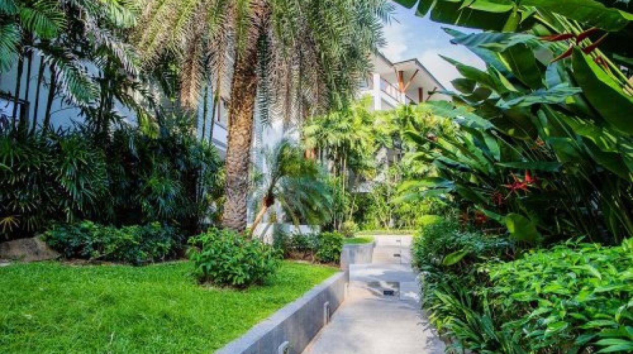 Property image - gallery 9