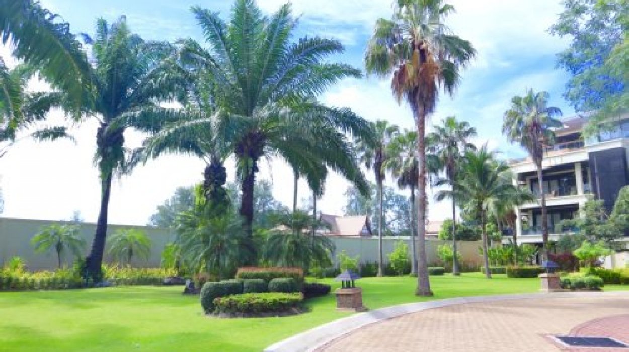 Property image - gallery 1