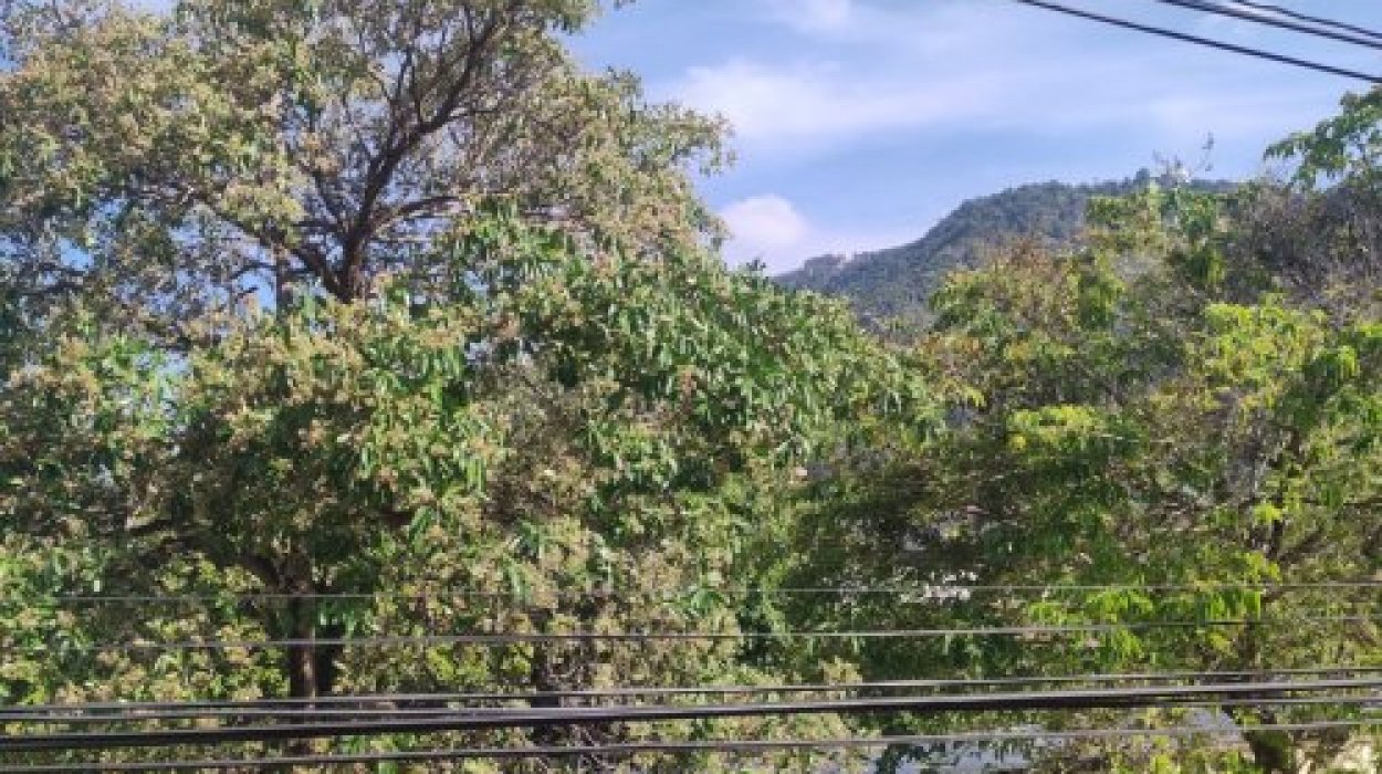 Property image - gallery 1