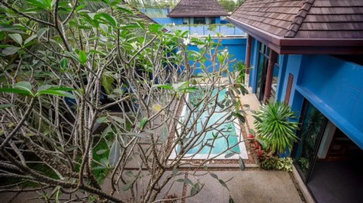 Property image - gallery 11