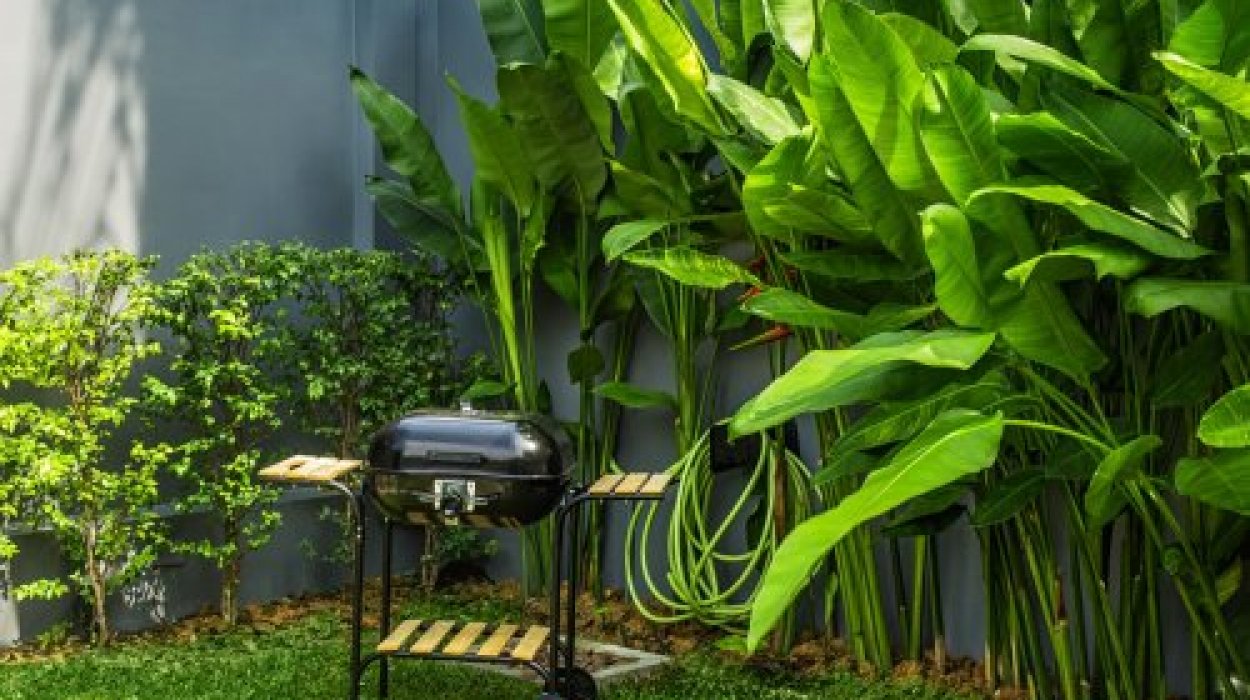 Property image - gallery 13
