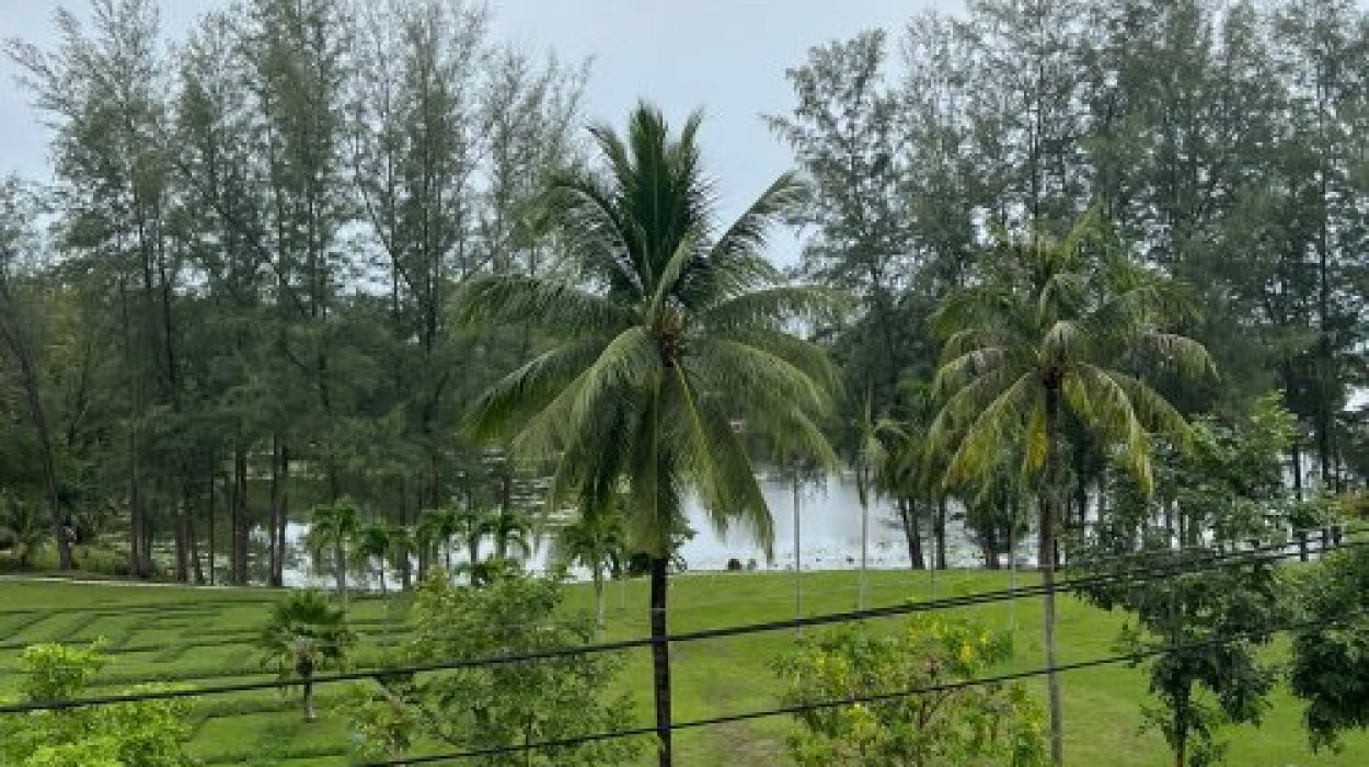 Property image - gallery 10