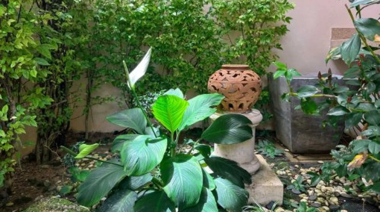 Property image - gallery 32
