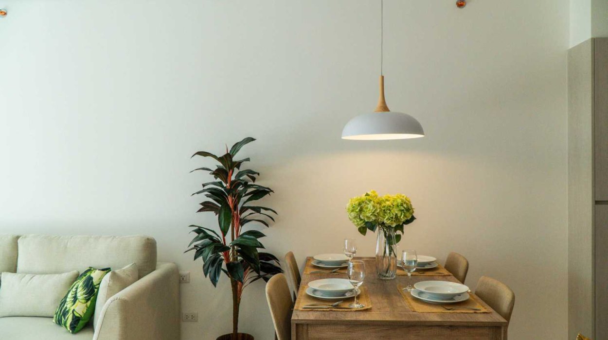 Property image - gallery 1