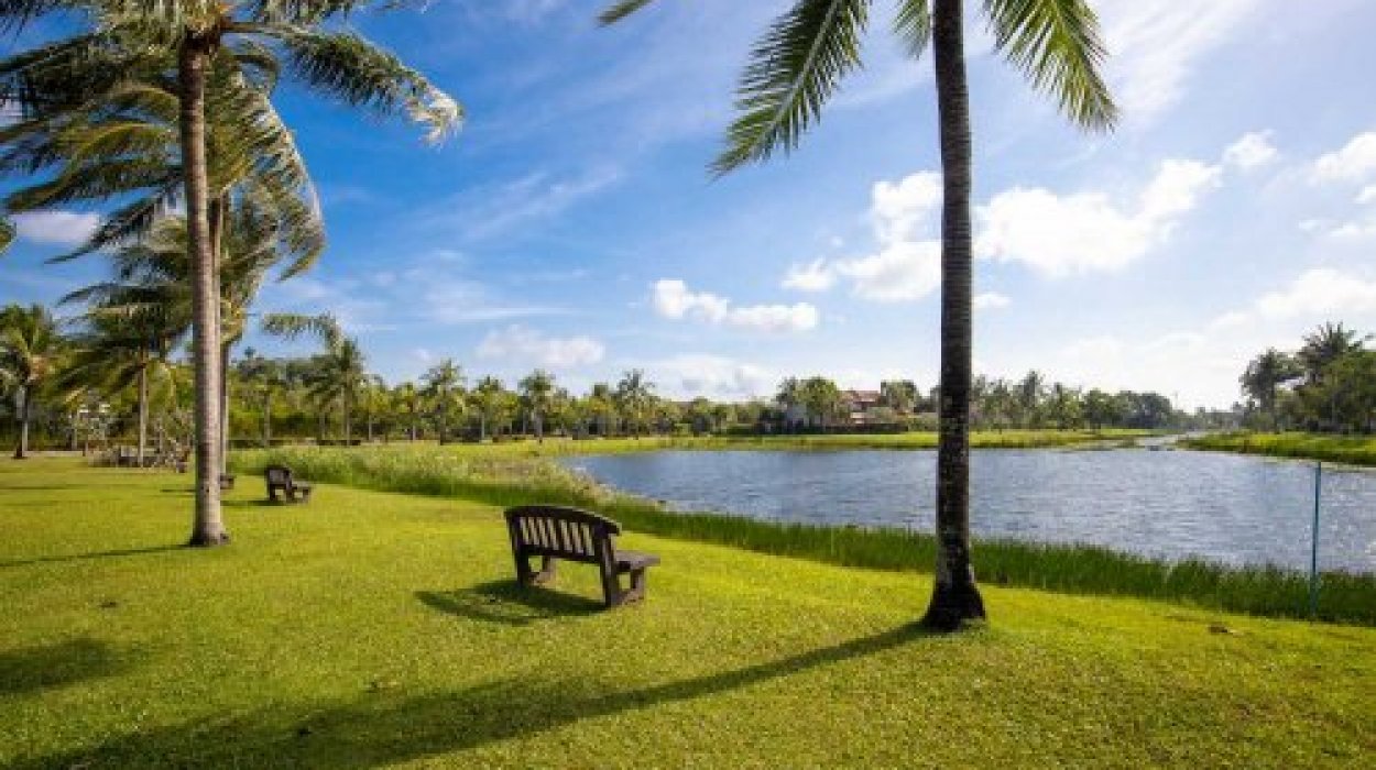 Property image - gallery 14