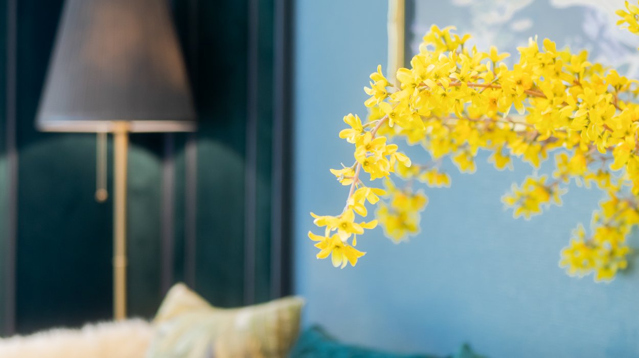 Property image - gallery 8