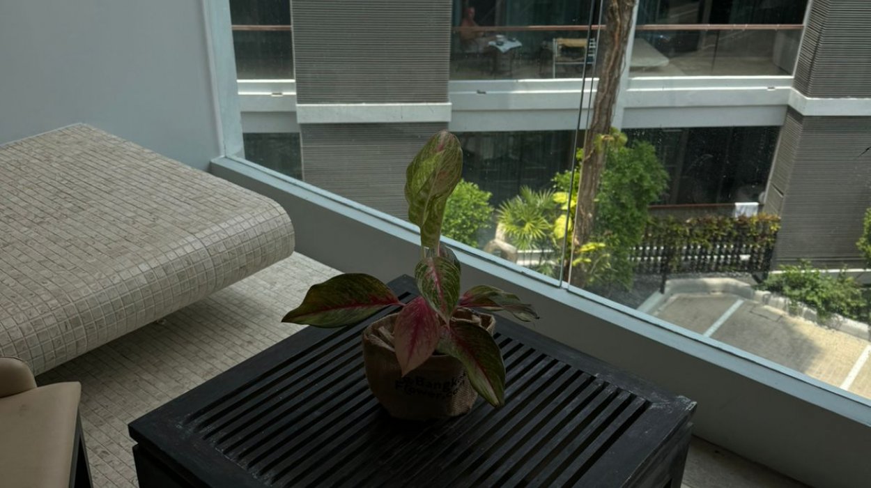 Property image - photo 5