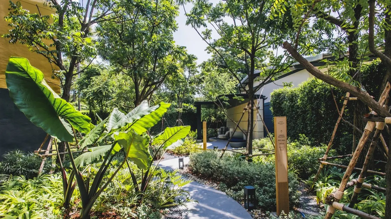 Property image - gallery 49