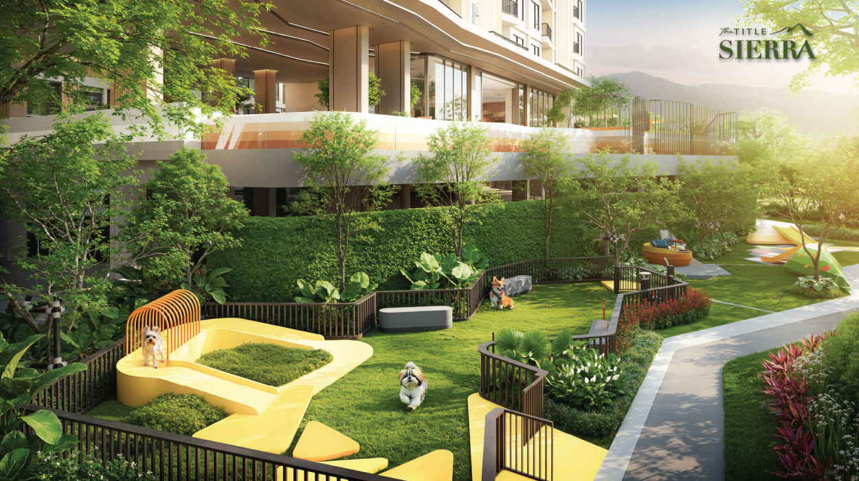 Property image - gallery 11