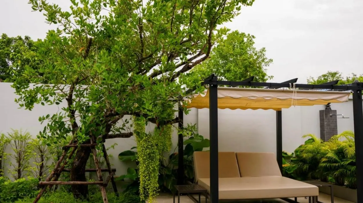 Property image - gallery 21