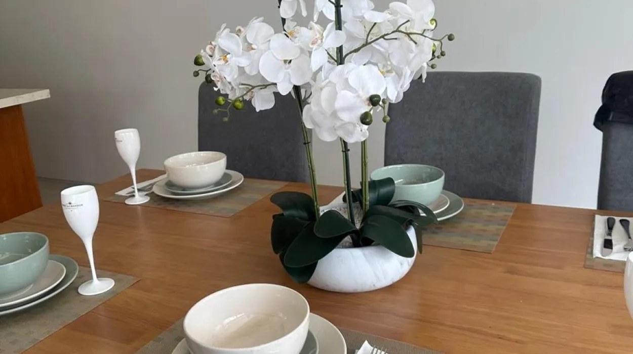 Property image - gallery 1