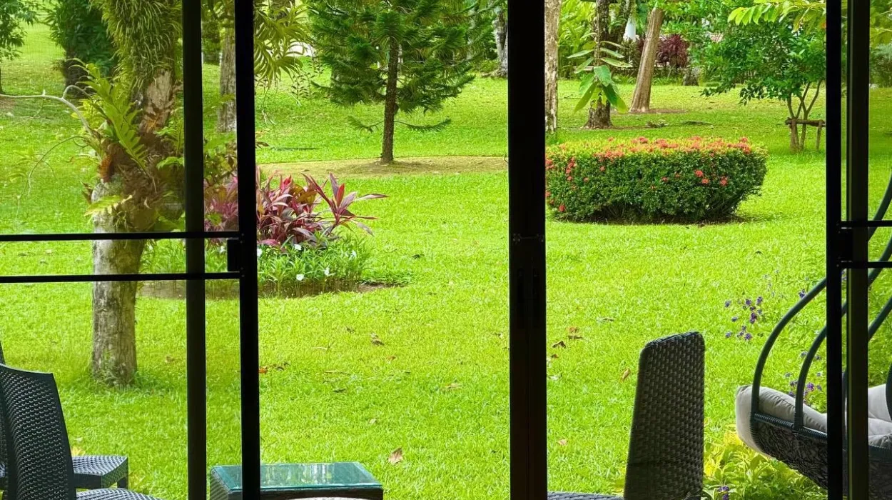 Property image - gallery 1