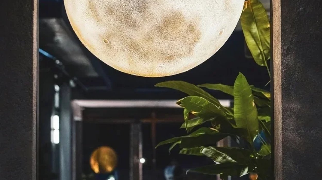 Alchemy Dining by SUAY
