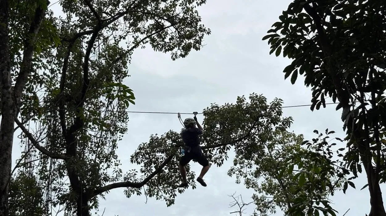 Jungle Xtrem Adventure 