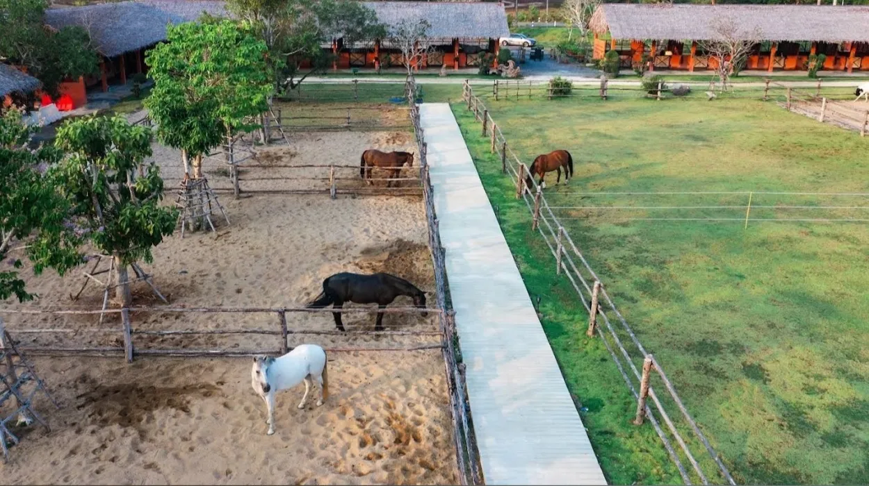 Niran Farm