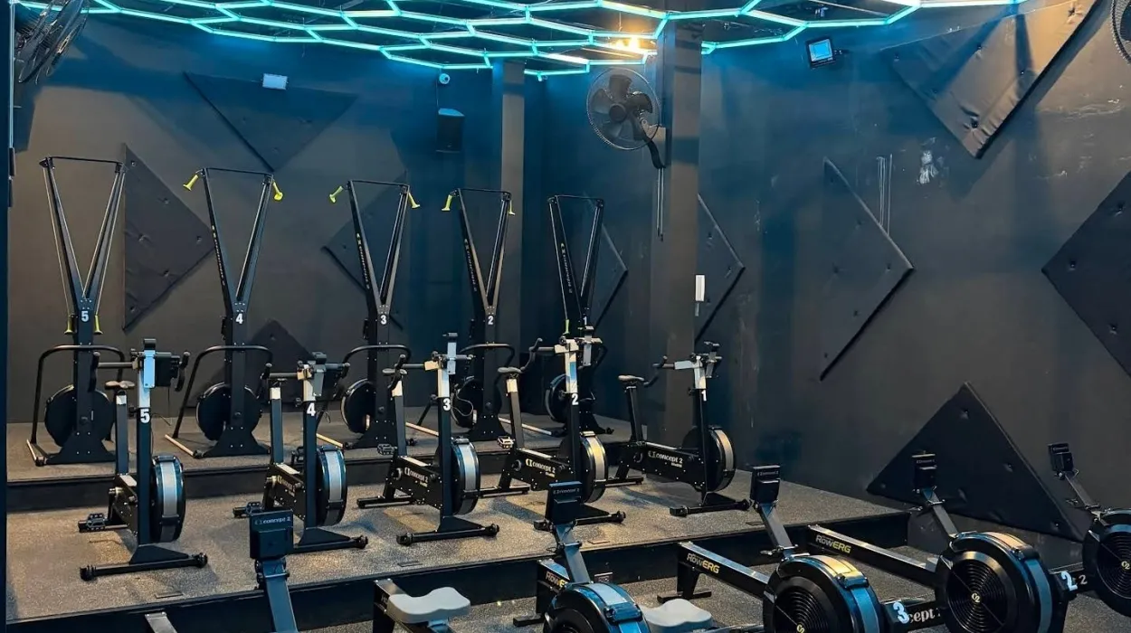 Delta 55 Fitness