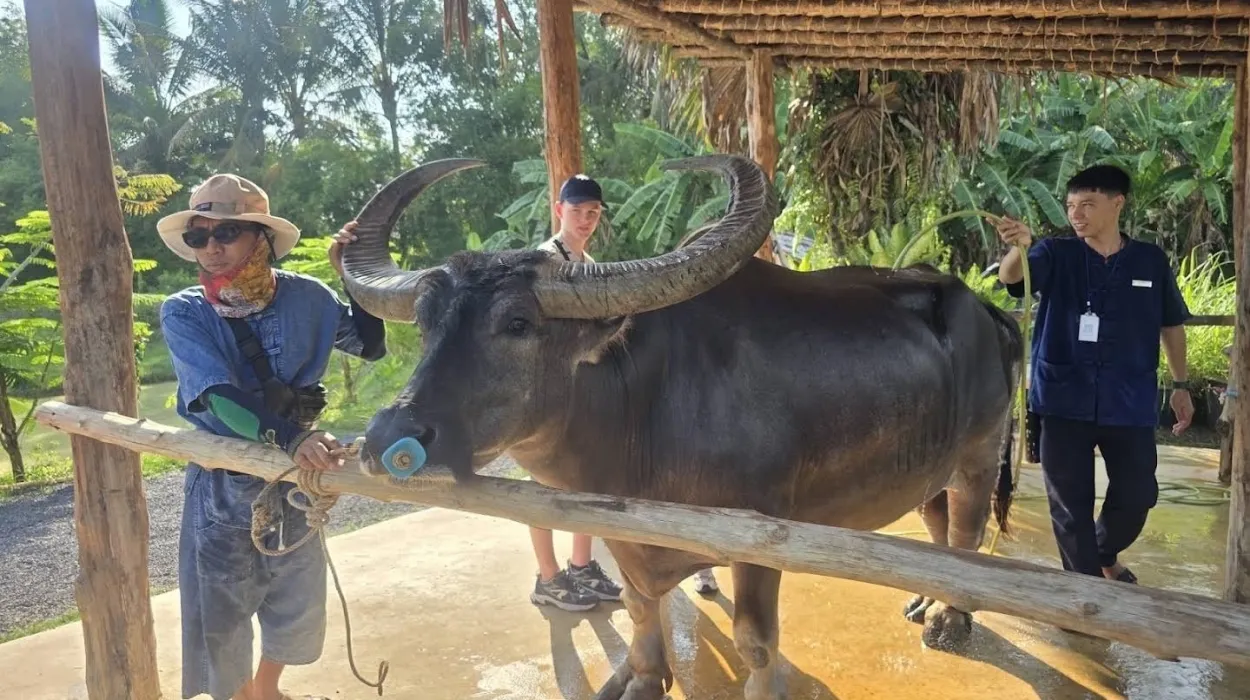 Old Phuket Farm 