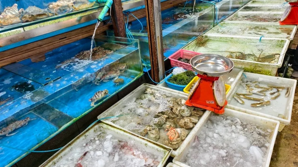 Рынок морепродуктов Равай