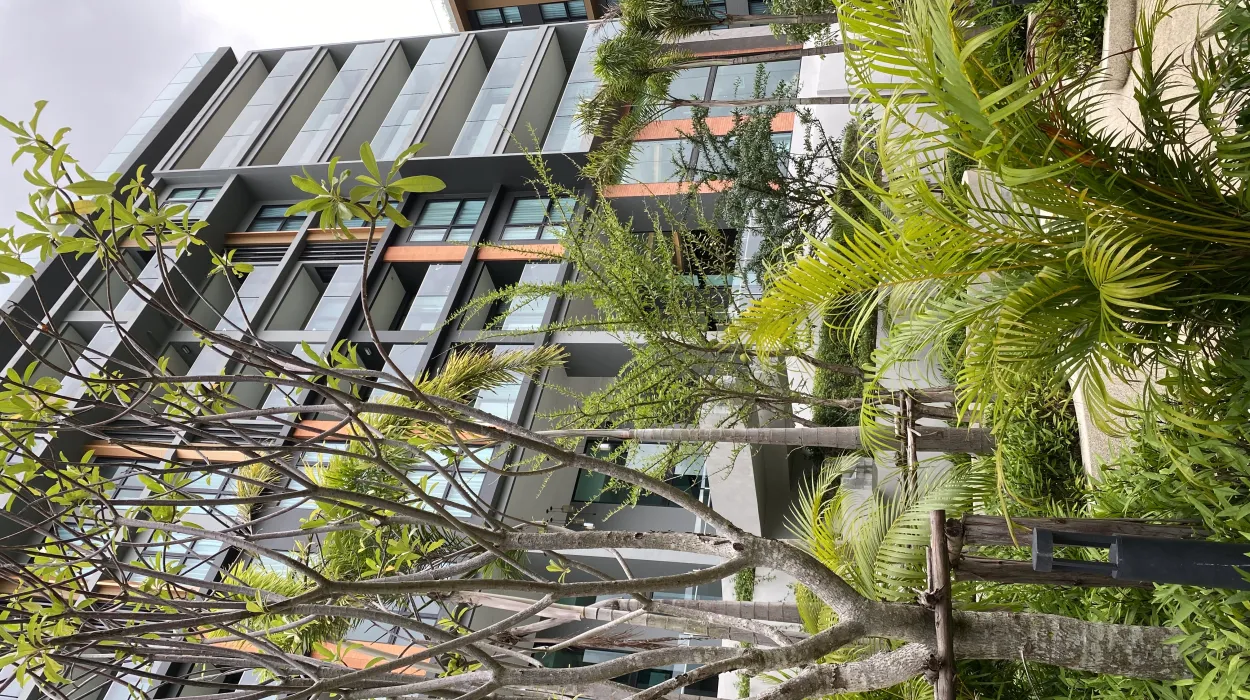 Property image - gallery 13