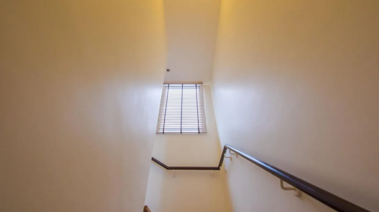 Property image - gallery 18