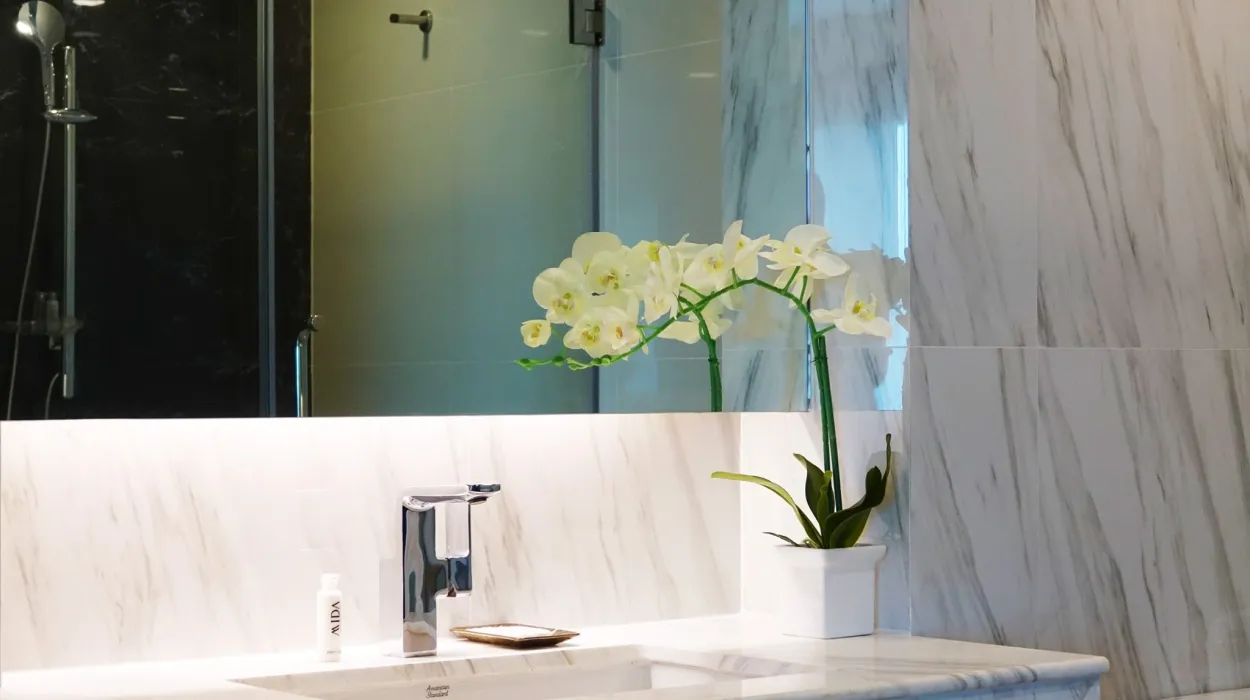 Property image - gallery 12