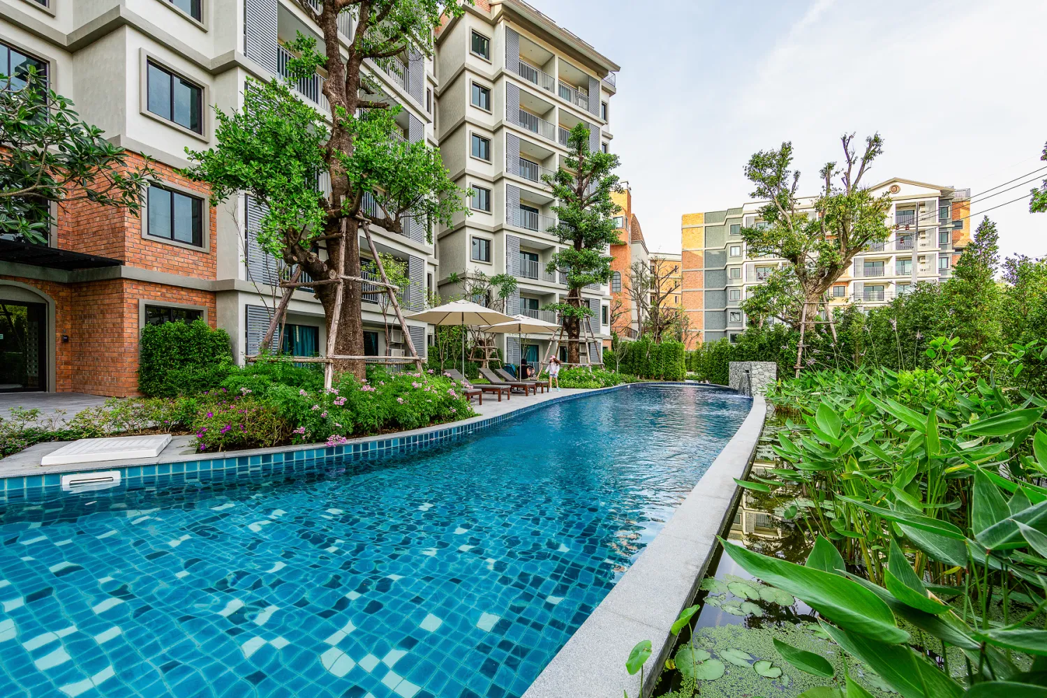 Property image - full photo 16