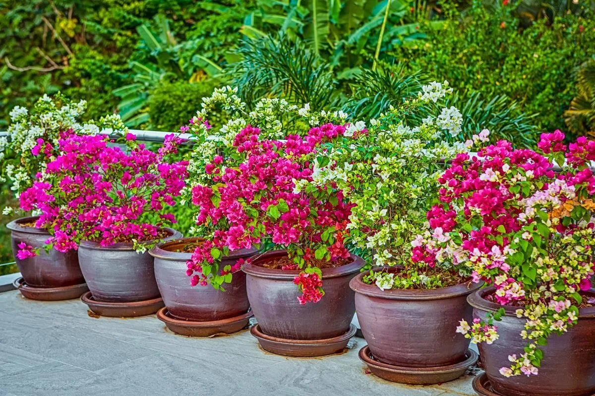 Property image - full photo 10