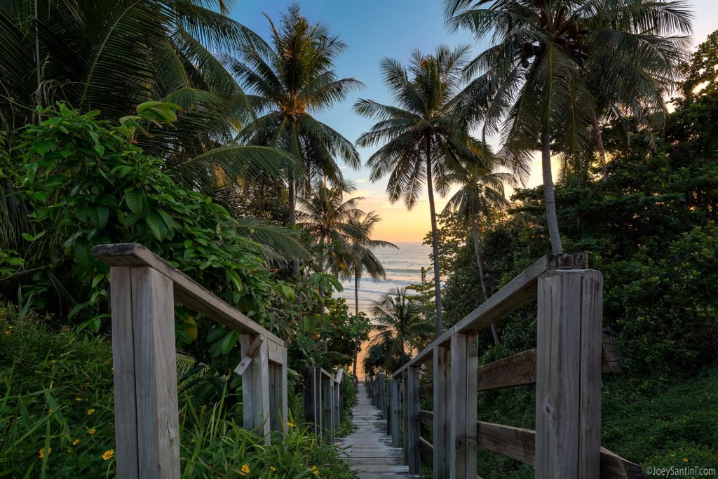 Property image - full photo 4