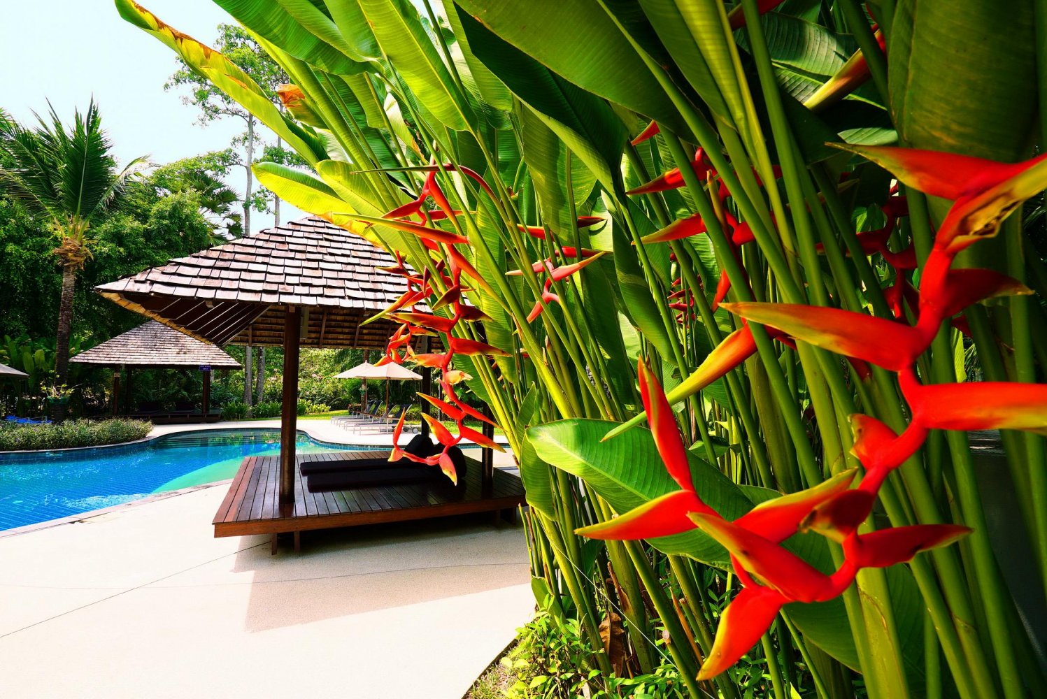 Property image - full photo 6