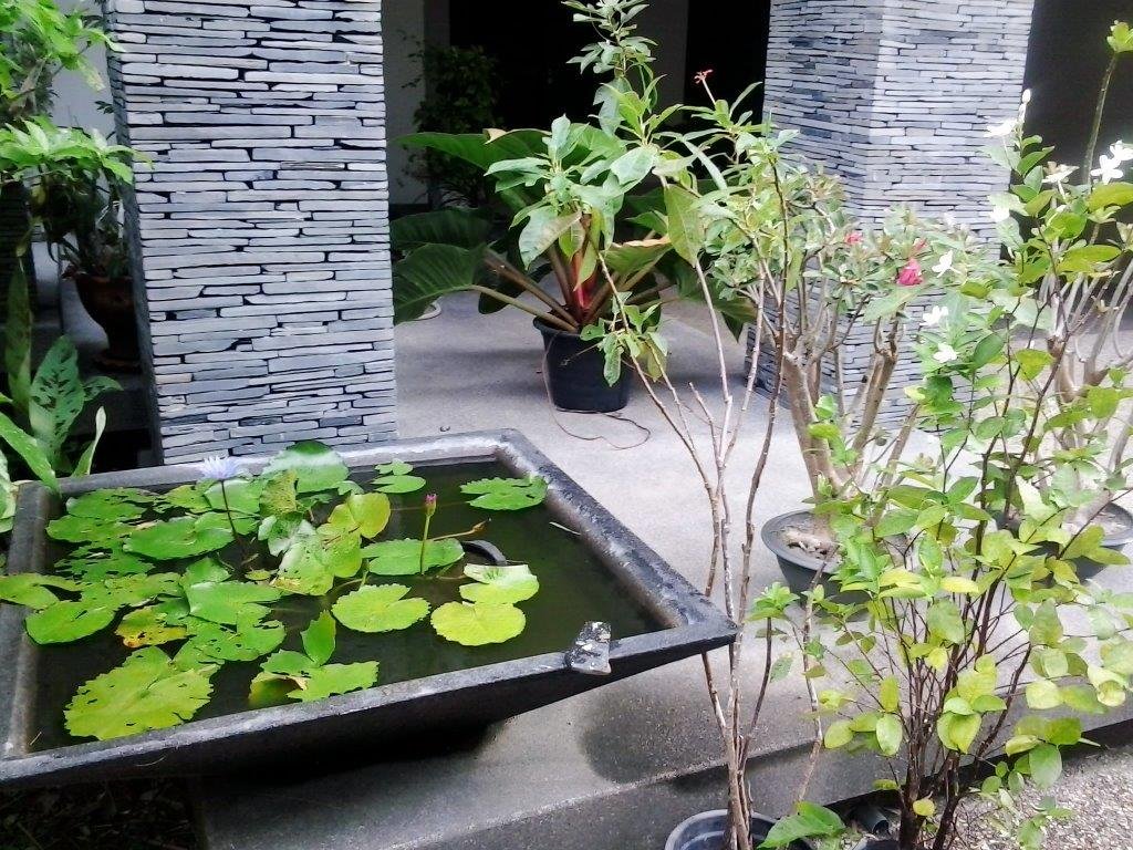Property image - full photo 12