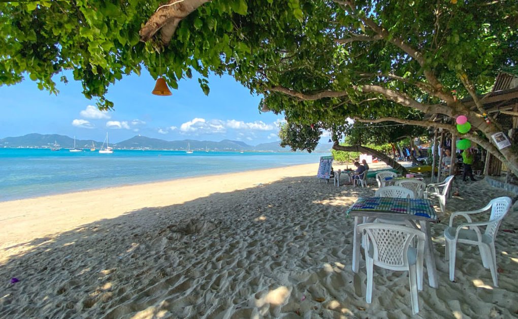 Property image - full photo 15