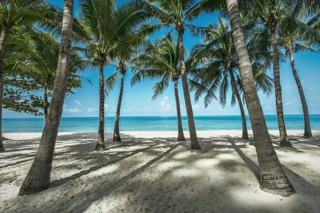 Property image - full photo 15