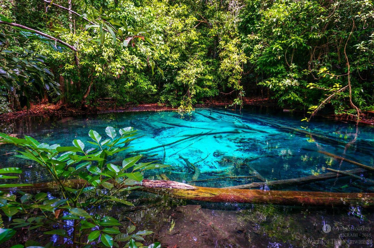 Krabi Province and the Emerald Pool