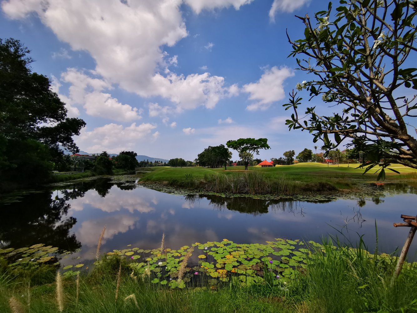Property image - full photo 19