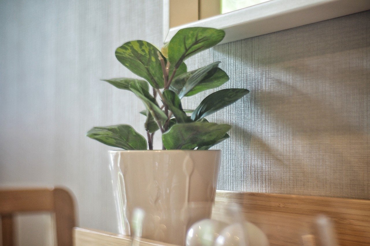 Property image - full photo 10