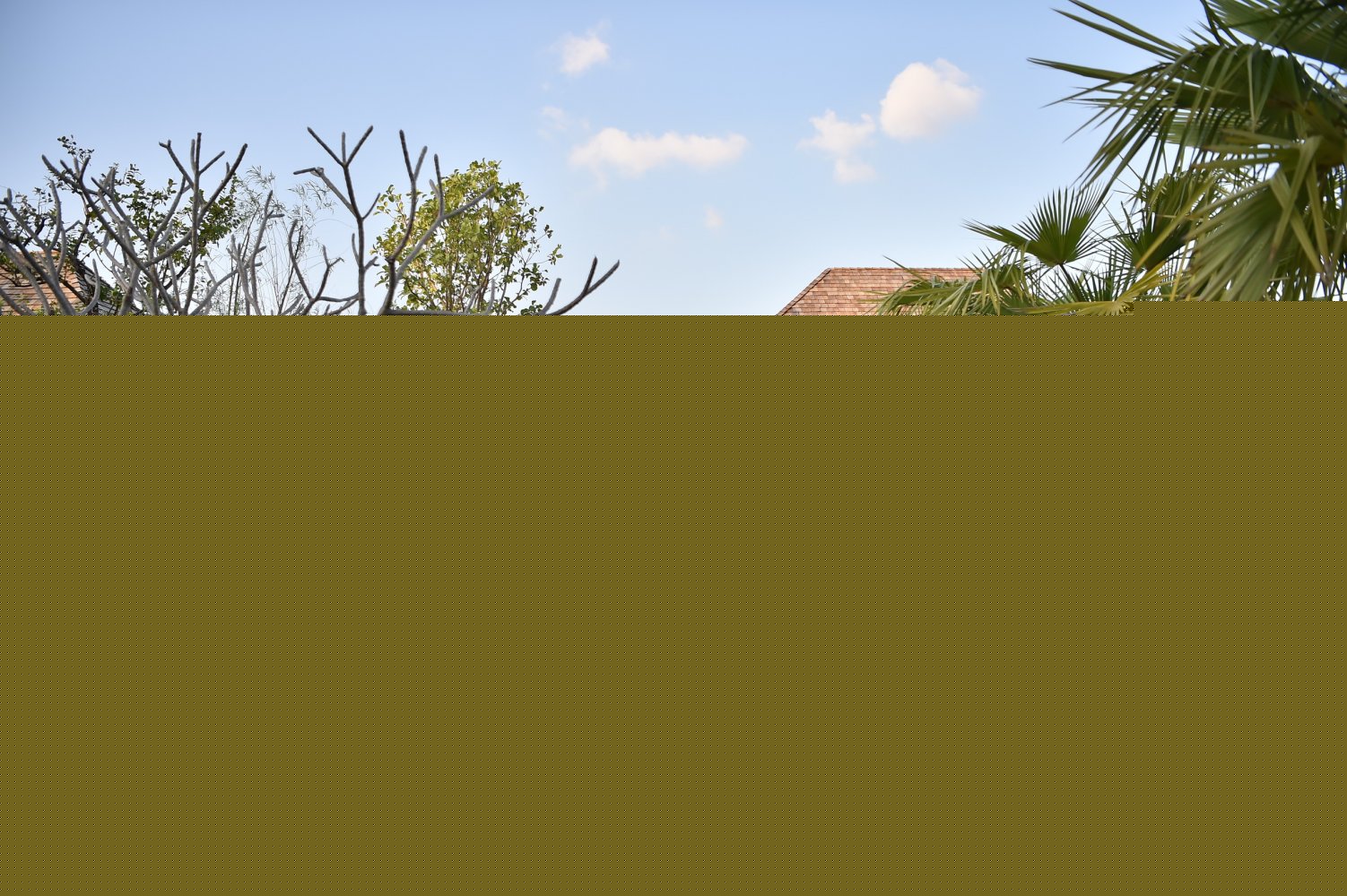 Property image - full photo 84