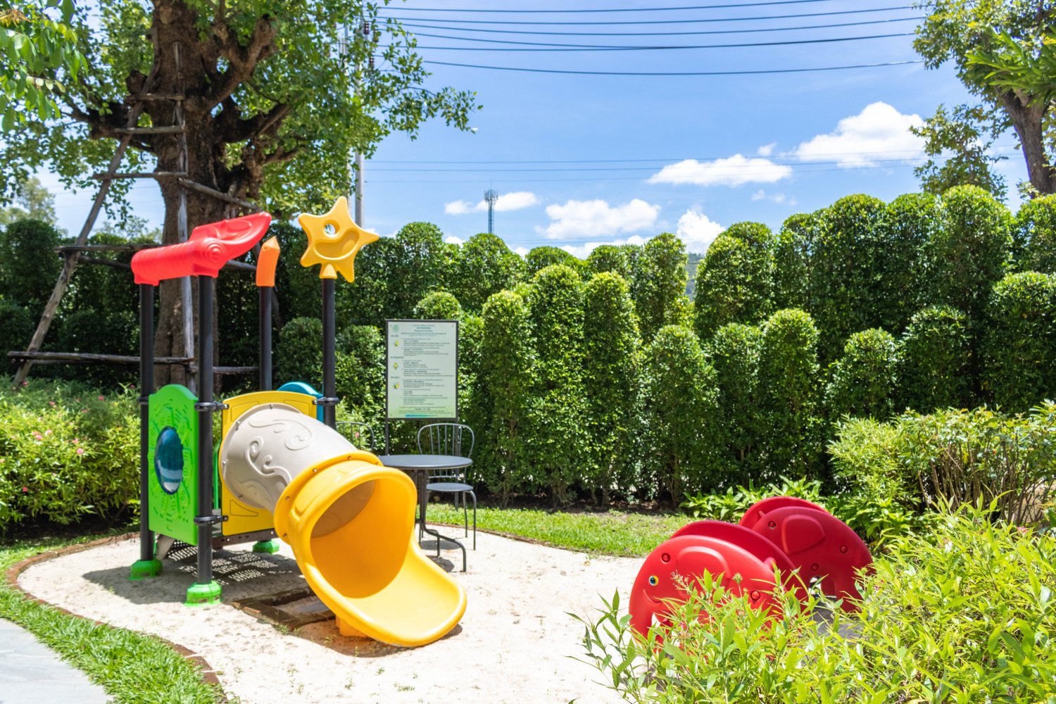 Property image - full photo 19