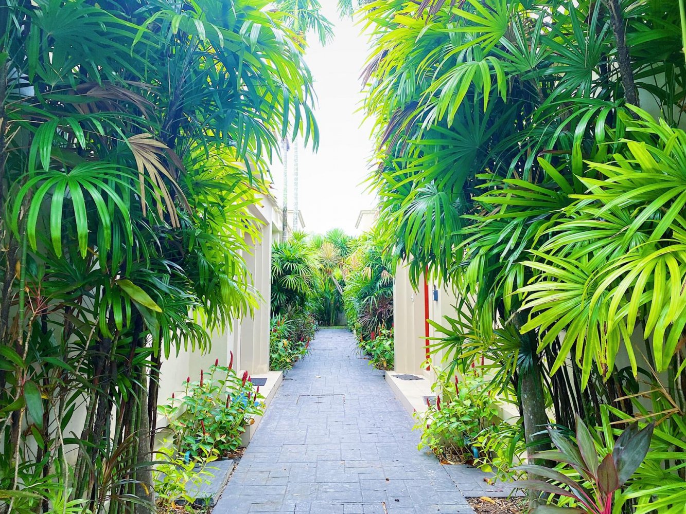 Property image - full photo 19