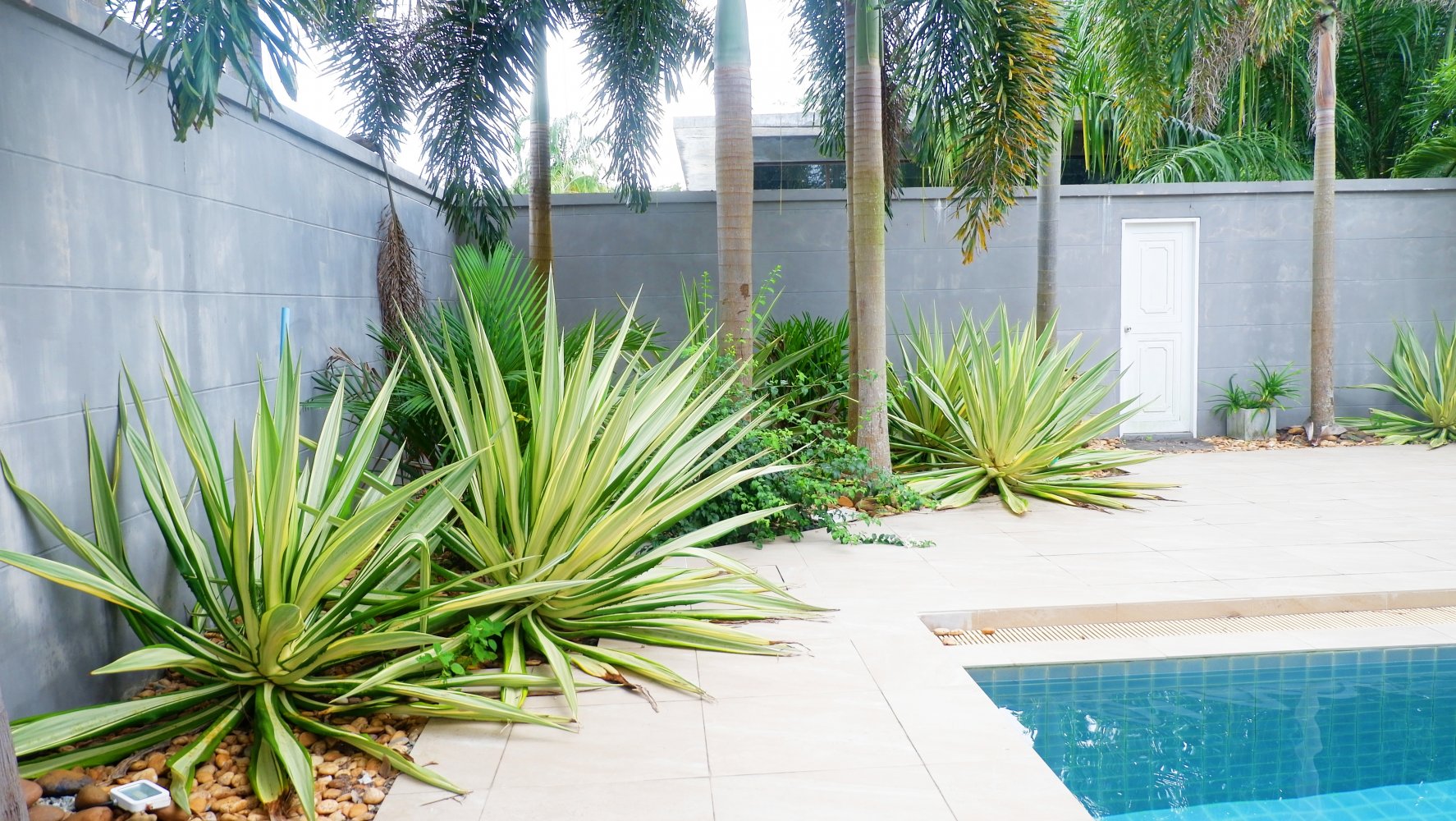 Property image - full photo 10